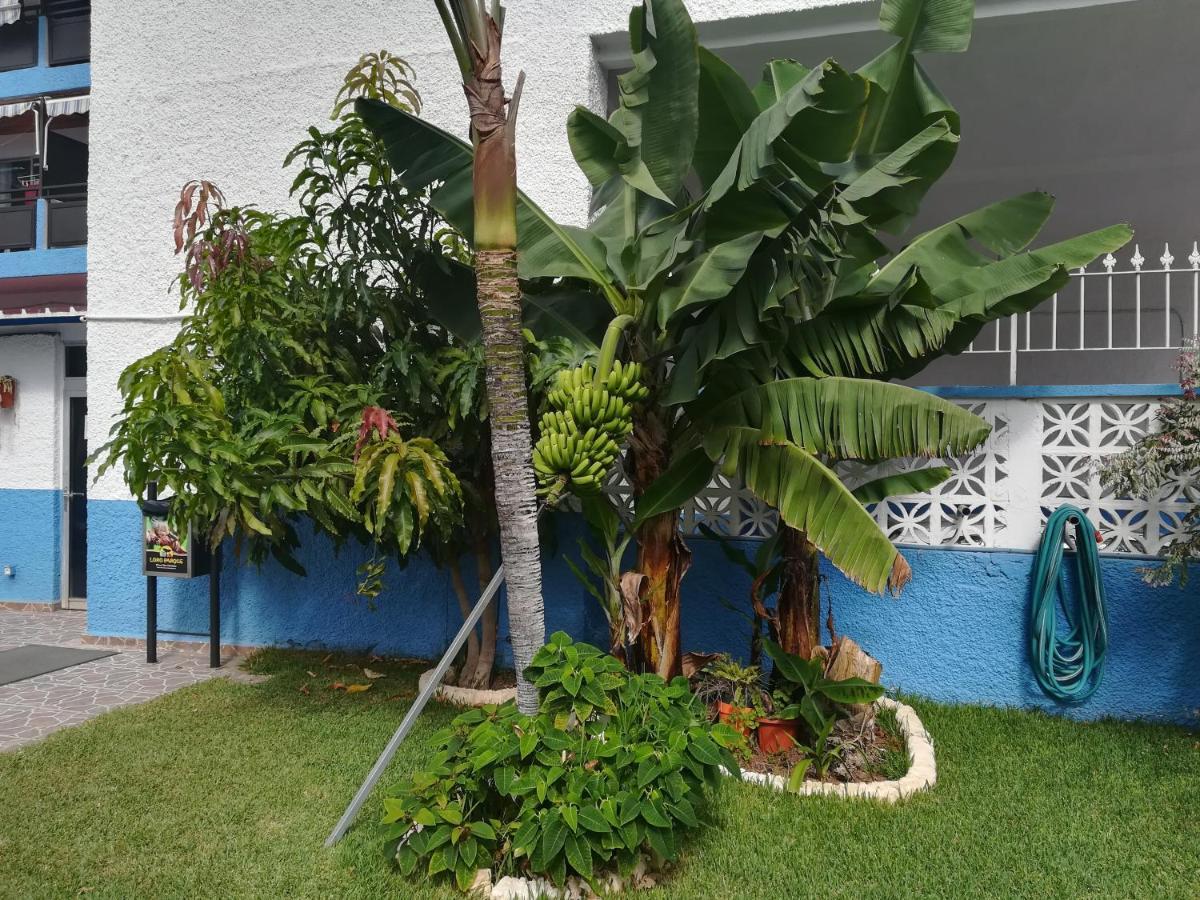 Acogedor Estudio Con Piscina Y Cerca De La Playa Puerto de la Cruz  Buitenkant foto